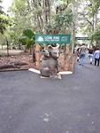 Lone Pine Koala Sanctuary