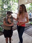 Koala-photo time
