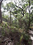 Hike naar Lake Wabby