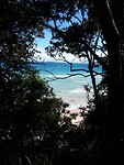 Coastal Walk