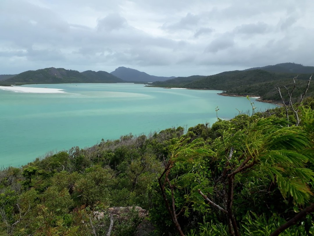 Whitsunday Island
