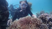 We finally found Nemo! :D