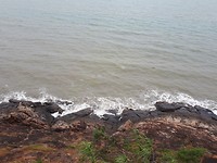 On the lookout for turtles!