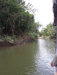 Crocodile cruise