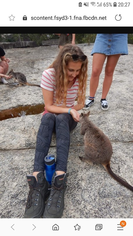 Wallaby-maccas
