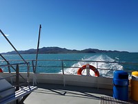 Maggie vanaf de ferry!