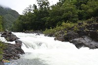 Just one of the rapids!