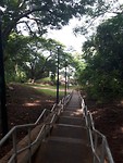Women's pathway