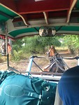 Het vervoer op Gili Air