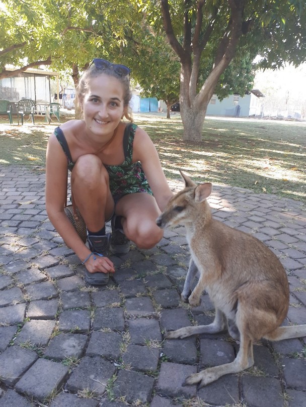 Wallaby!