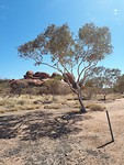 Devil's Marbles