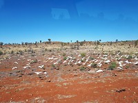 20190812_103648