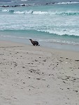 20190817_135703