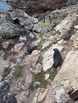 20190818_092921