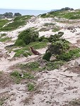 20190817_134619