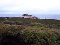 20190818_083444