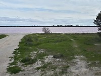 Pink Lake
