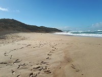 Johanna Beach