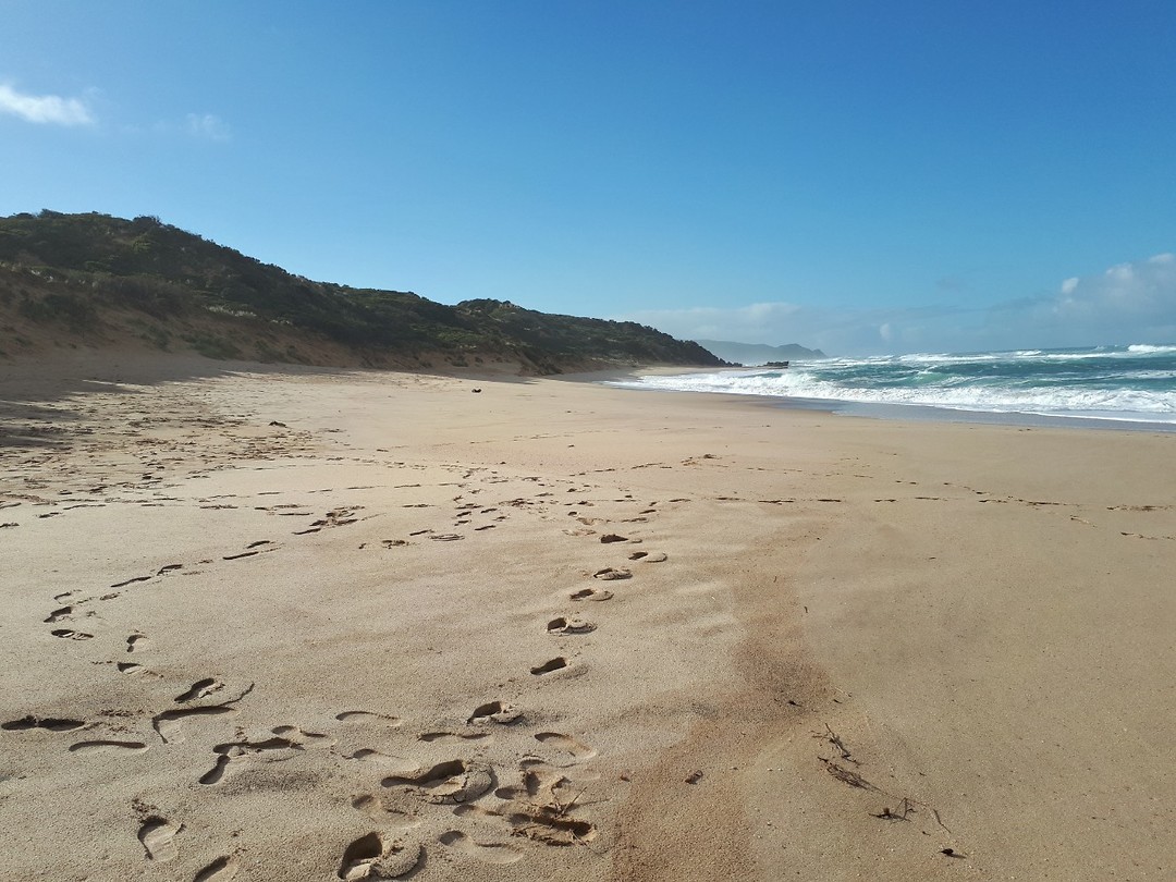 Johanna Beach