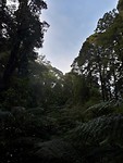 Otway