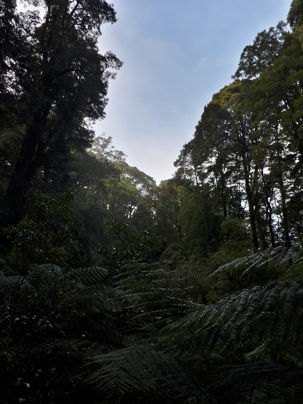Otway