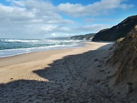 Still Johanna Beach