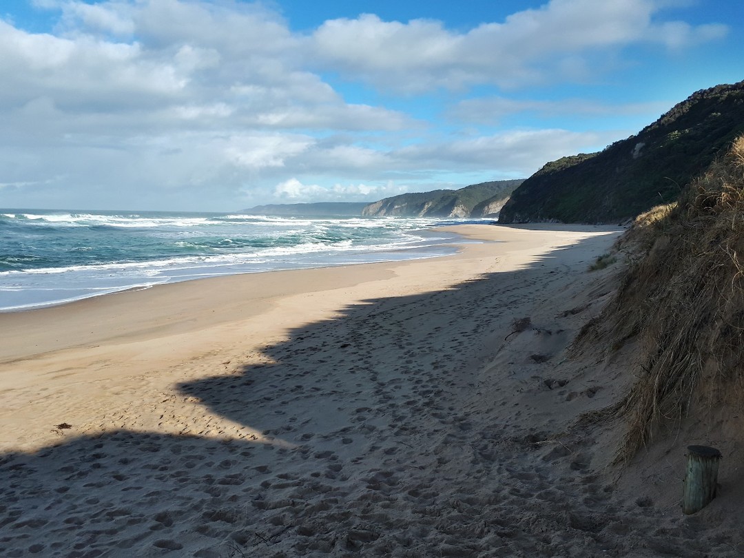 Still Johanna Beach
