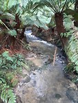 Great Otway National Park