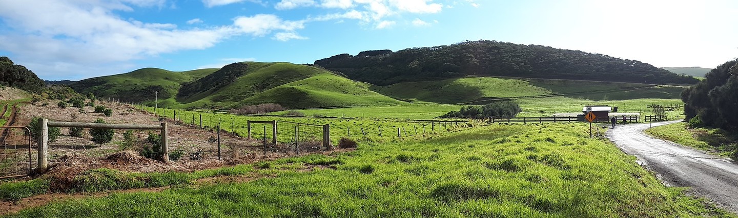 Behind Johanna Beach