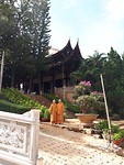 Nuns at the pagoda