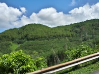 Beautiful mountain views