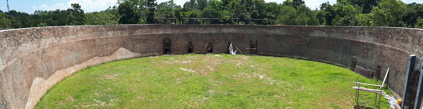 Tiger arena