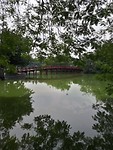 The lake