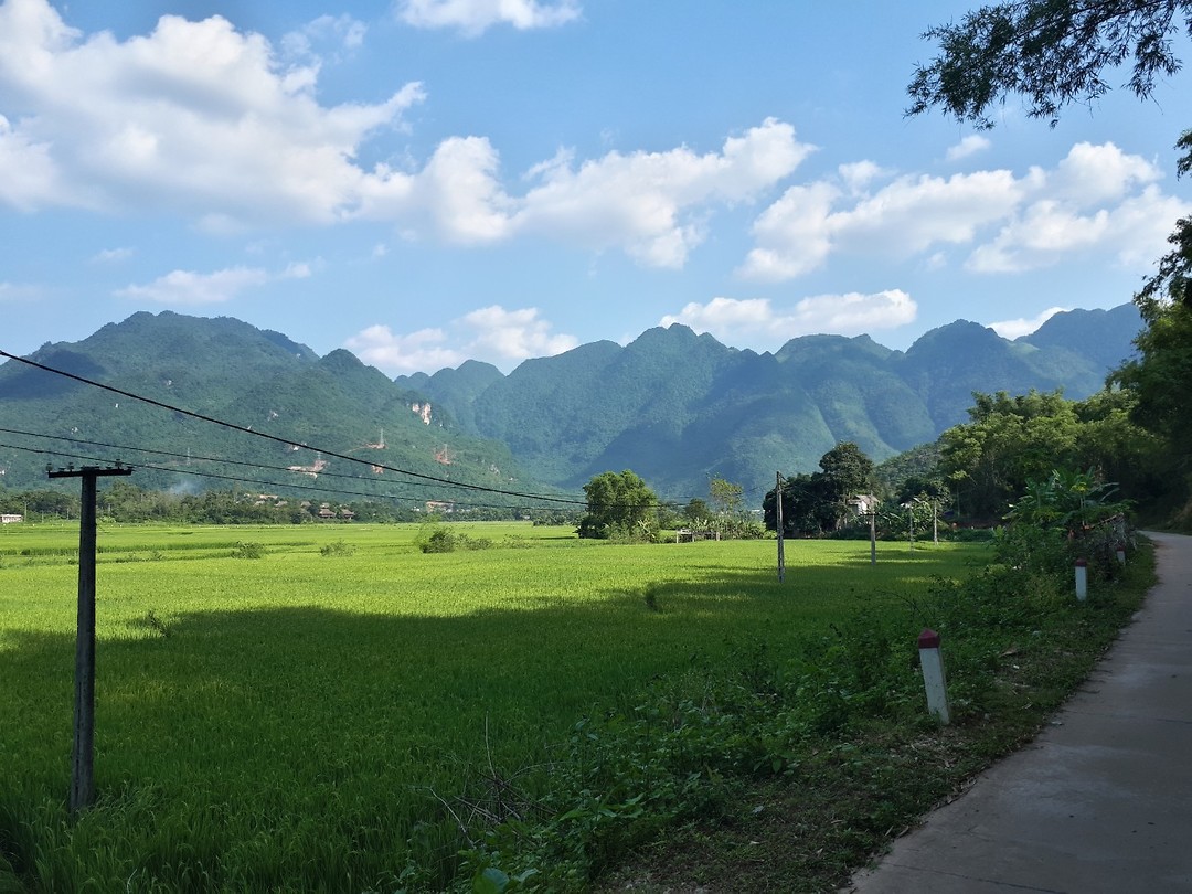 Bike ride around the homestay