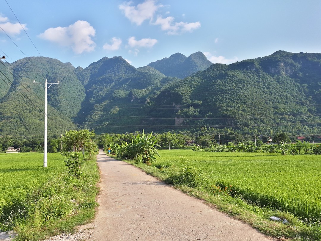 Mountain view