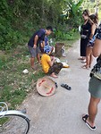 Cutting bamboo!