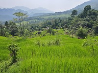 Pu Luong hike