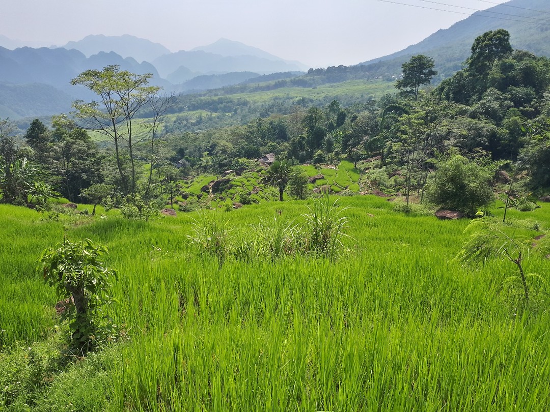 Pu Luong hike