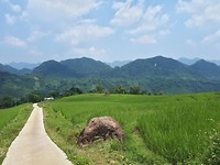 Panorama views