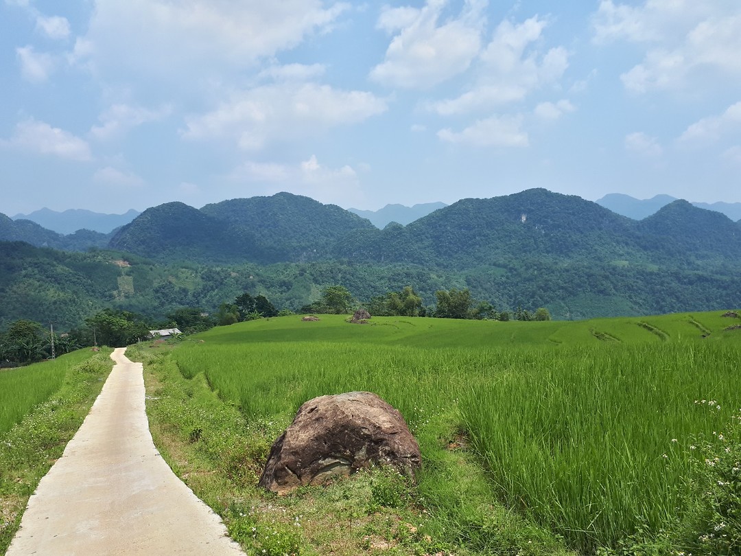 Panorama views