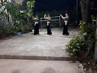 Vietnamese dancing