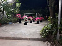 Vietnamese dancing