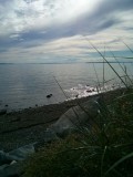 white rock beach