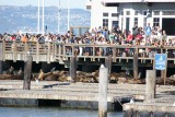 Pier 39