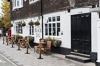 Black Jug