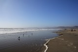 Pacific