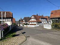 IMG_5152