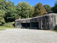 IMG_5153