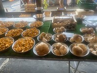 IMG_5408