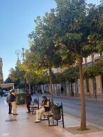 IMG_5576